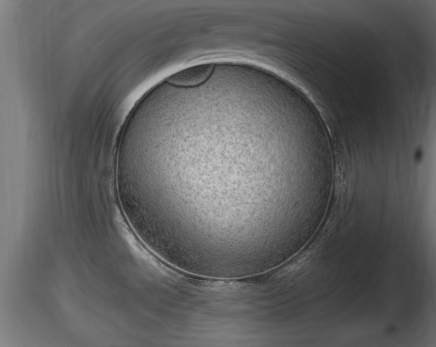 X0000116881534200912291232