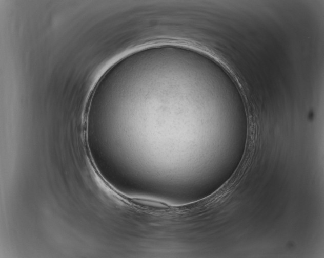 X0000116881535200912291232