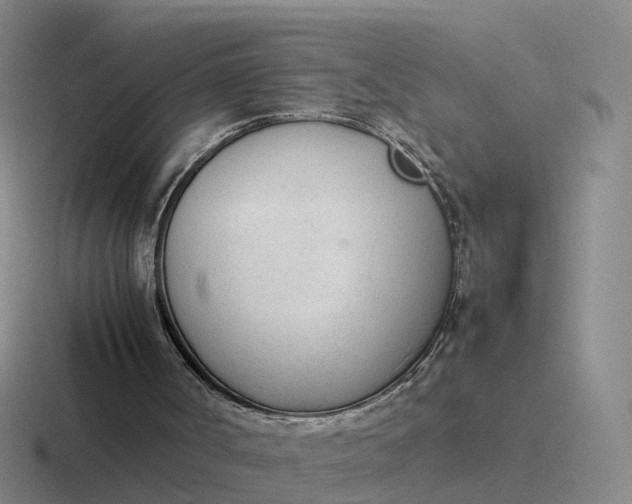 X0000116880002201001051513