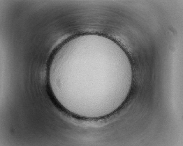 X0000116880016201001051513