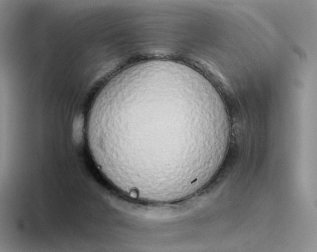 X0000116880024201001051513