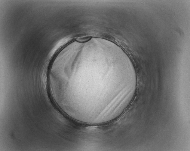 X0000116880054201001051512