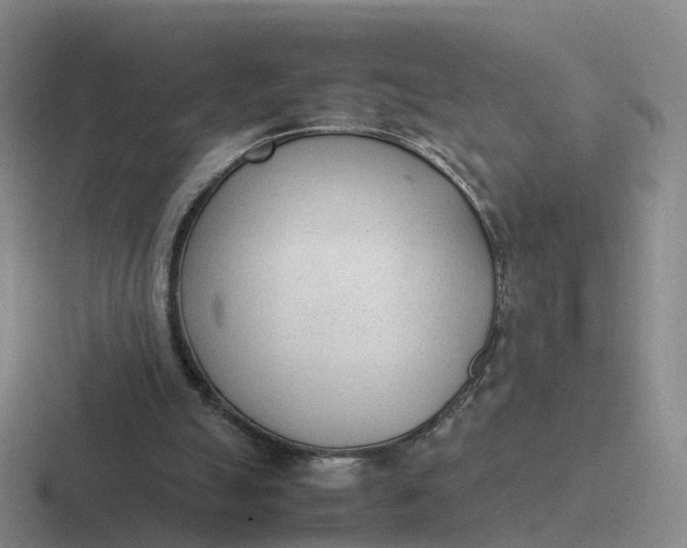 X0000116880055201001051512