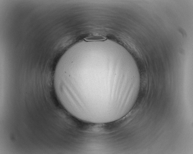 X0000116880078201001051513
