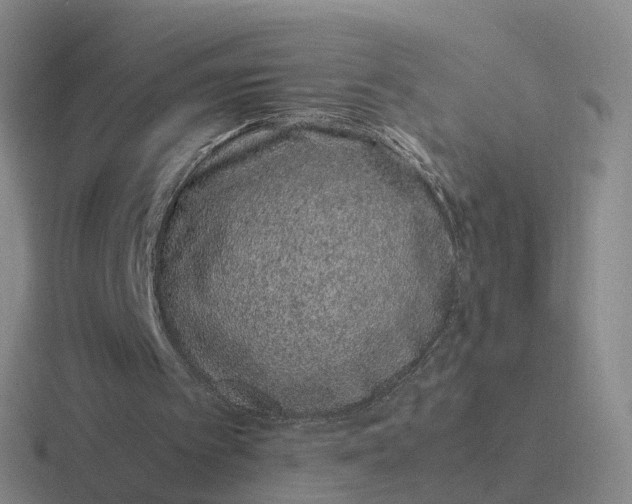 X0000116880097201001051512