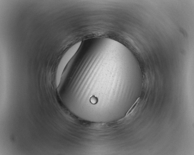 X0000116880136201001051512