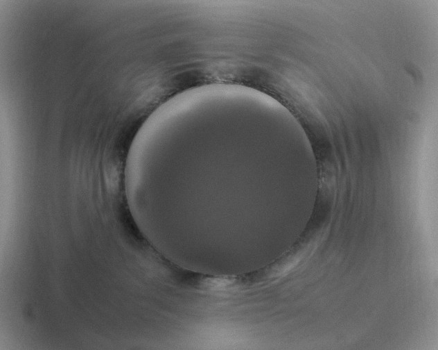 X0000116880139201001051512