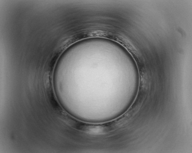 X0000116880169201001051511