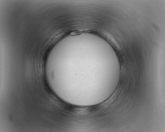 X0000116880170201001051511