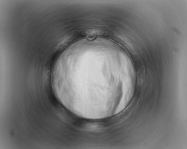 X0000116880171201001051511