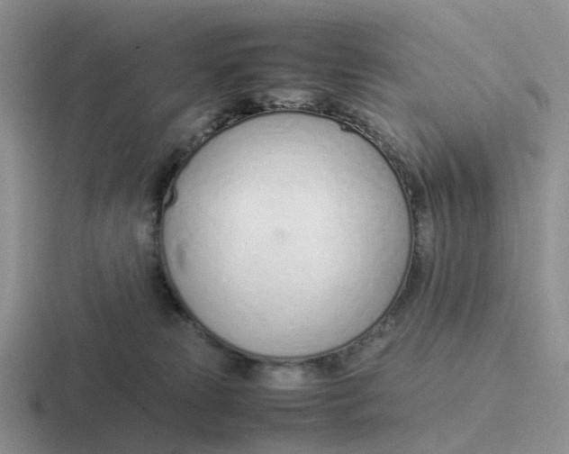 X0000116880181201001051511