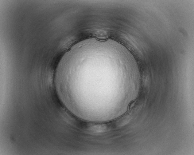 X0000116880185201001051511