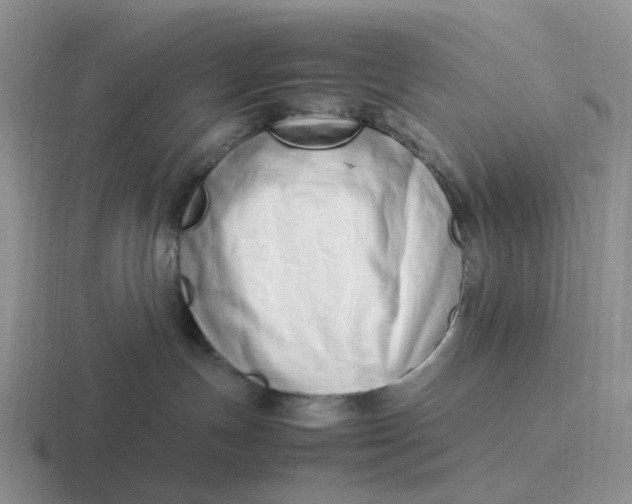 X0000116880191201001051512