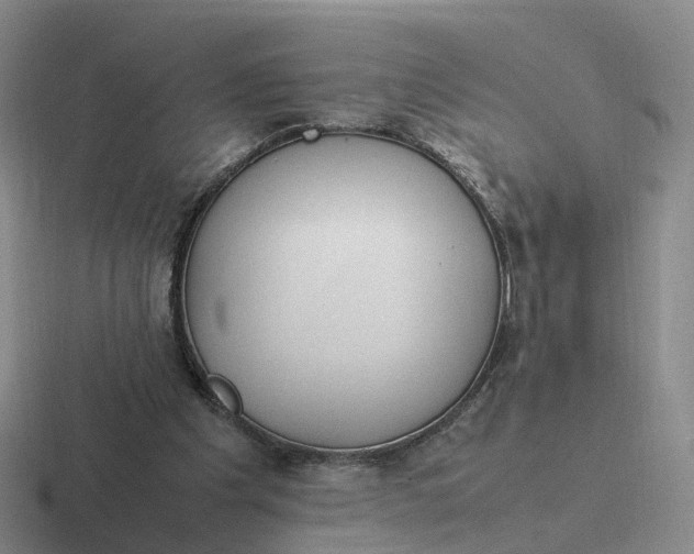 X0000116880201201001051511