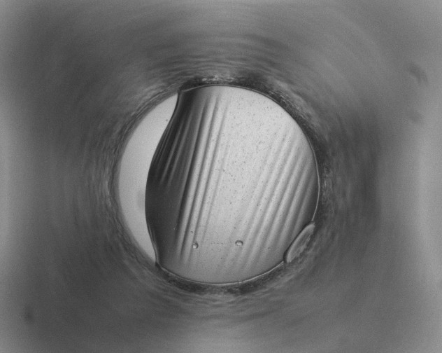 X0000116880209201001051511