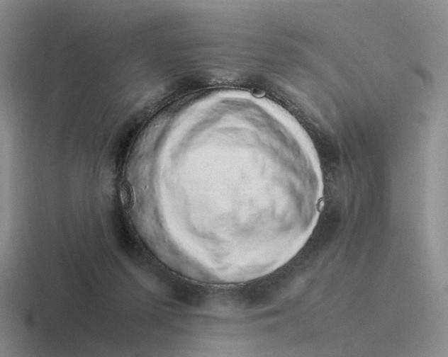 X0000116880215201001051511