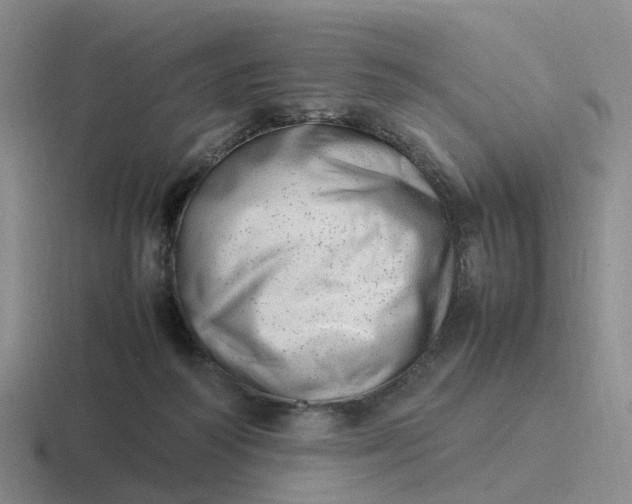 X0000116880218201001051511