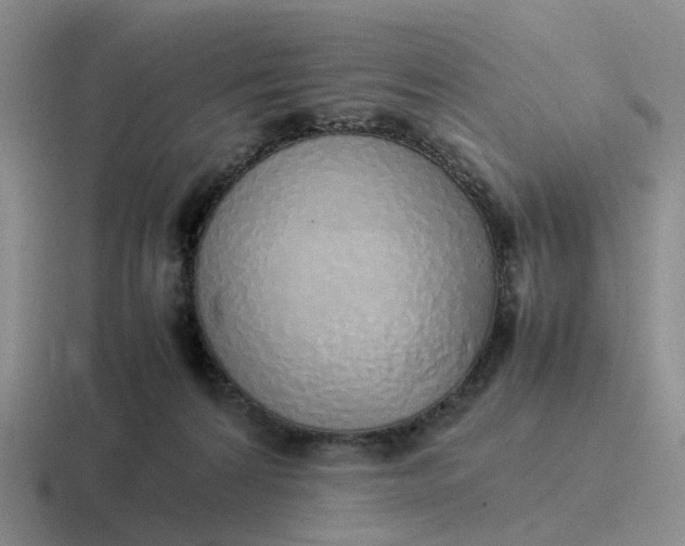 X0000116880224201001051511