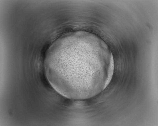 X0000116880226201001051510
