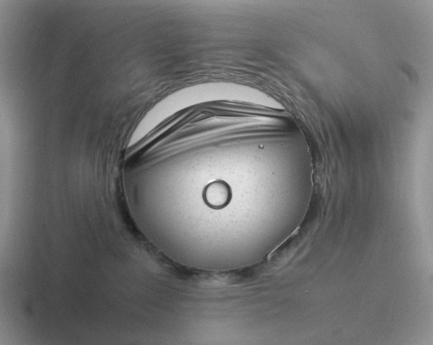 X0000116880235201001051510