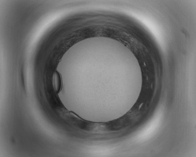 X0000116880239201001051510