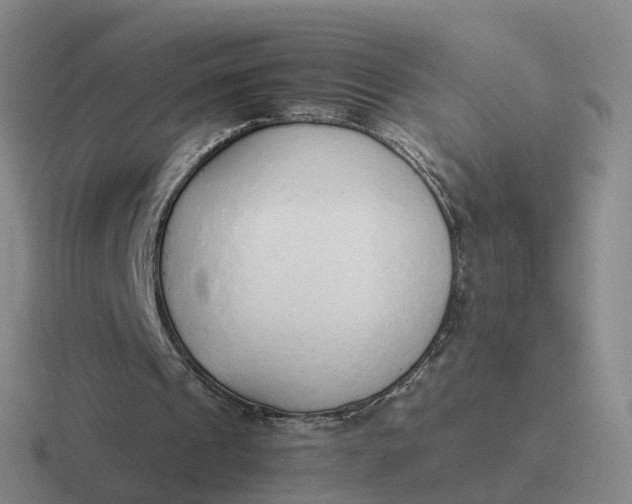 X0000116880241201001051510
