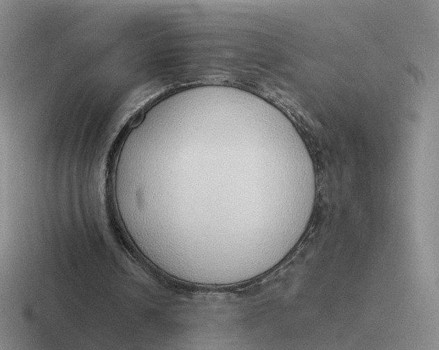X0000116880242201001051510