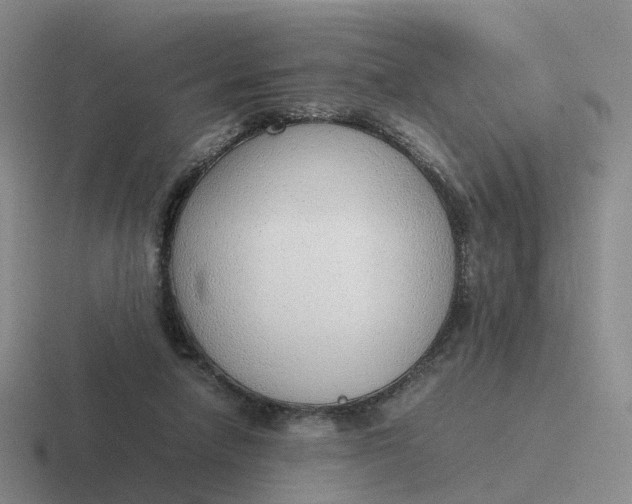 X0000116880258201001051510