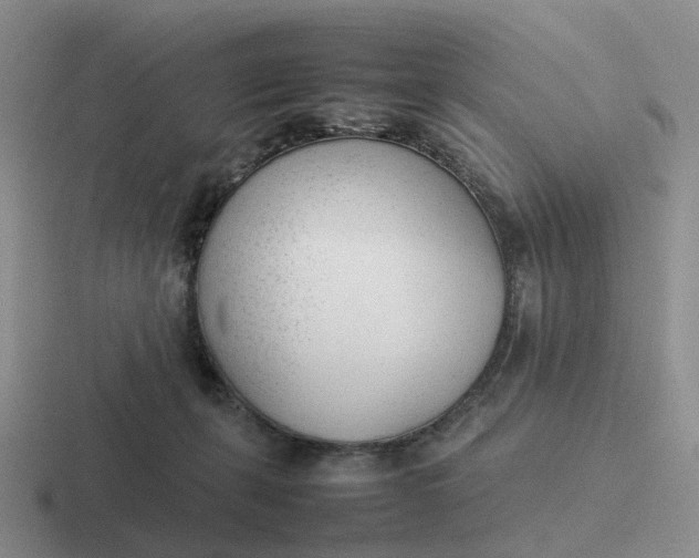 X0000116880271201001051510