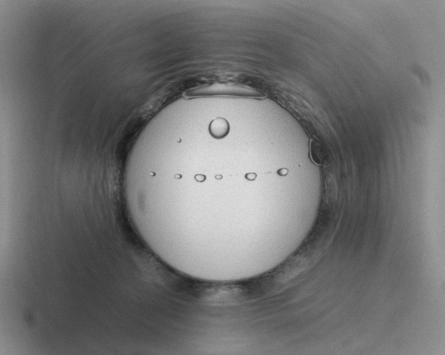 X0000116880274201001051510