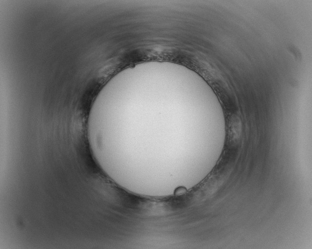 X0000116880276201001051510