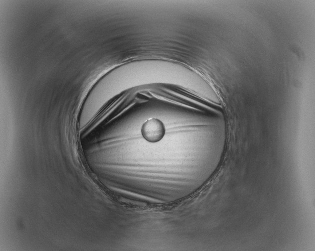 X0000116880289201001051510
