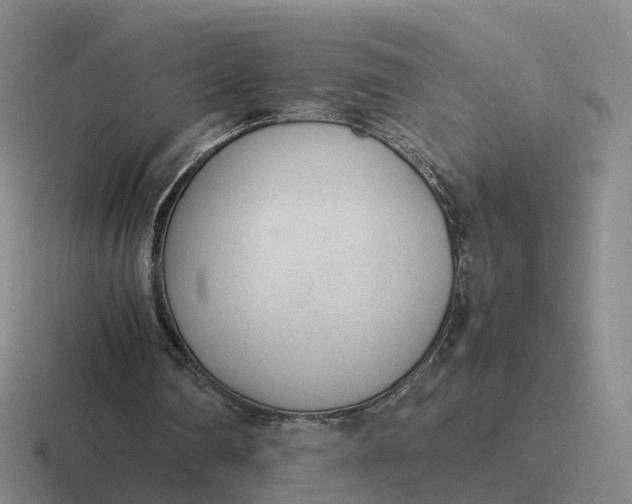 X0000116880290201001051510