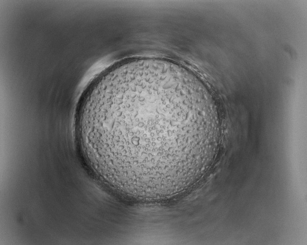 X0000116880296201001051510