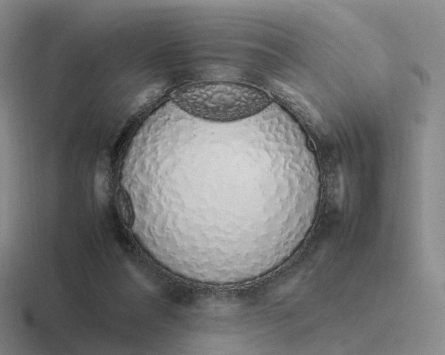 X0000116880304201001051510