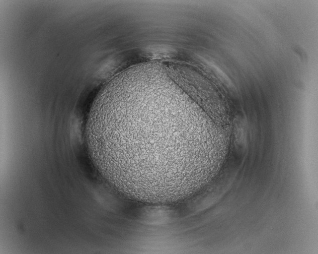 X0000116880316201001051509