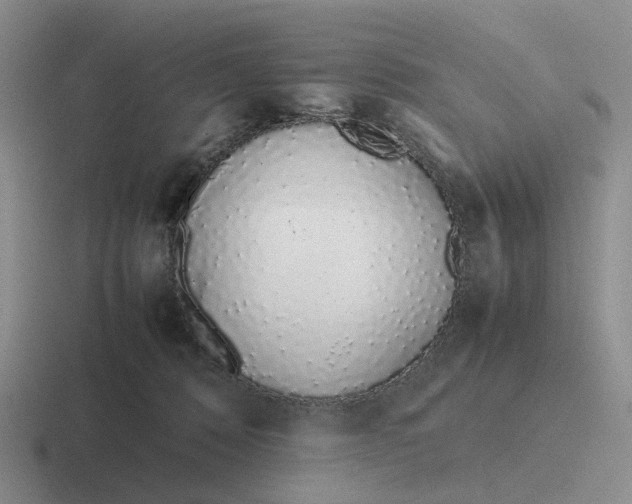 X0000116880320201001051509