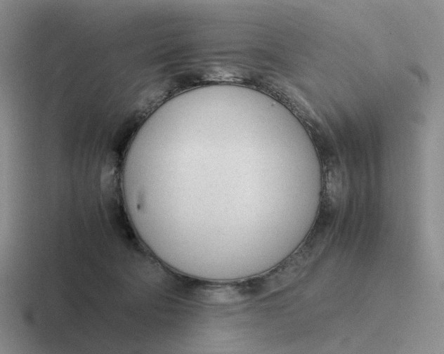 X0000116880322201001051509