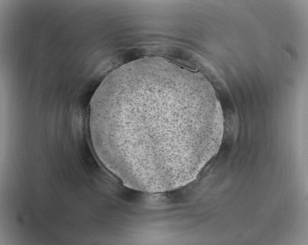 X0000116880333201001051509
