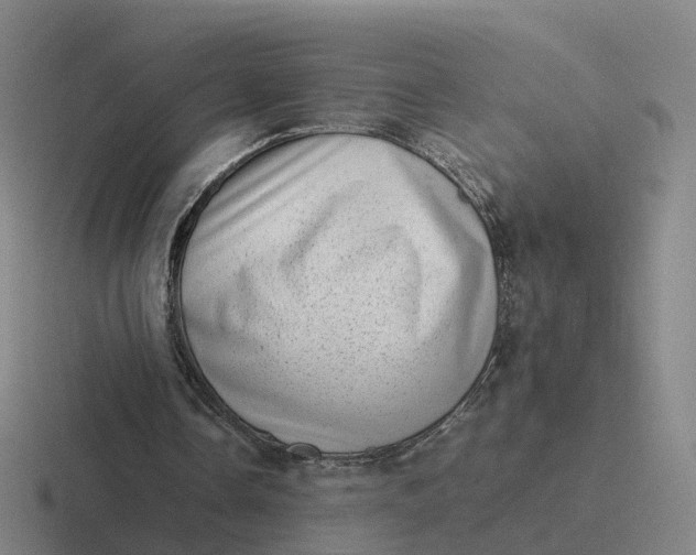 X0000116880338201001051508