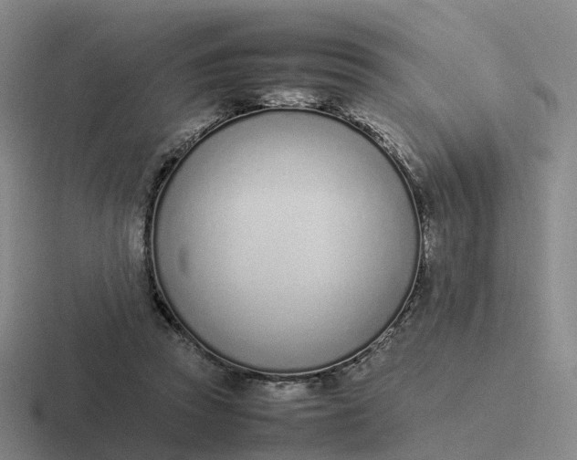 X0000116880353201001051508