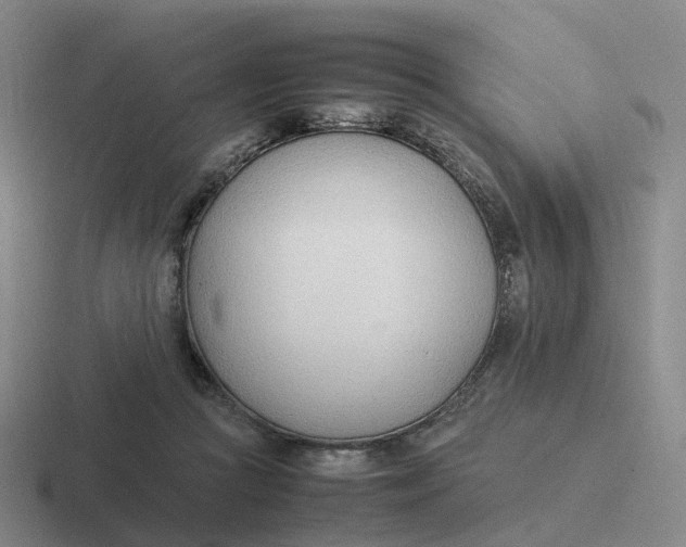 X0000116880361201001051508