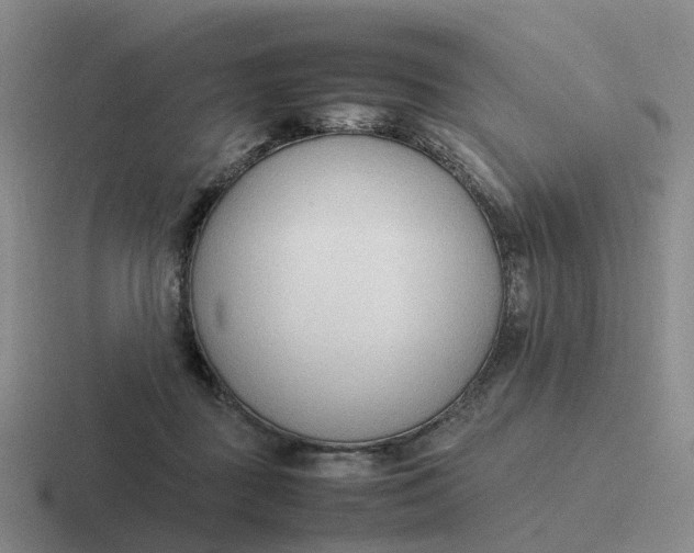 X0000116880363201001051509