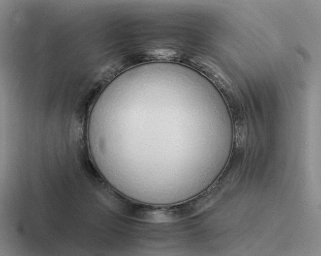 X0000116880365201001051509