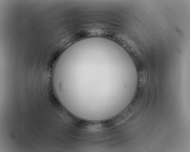 X0000116880369201001051509