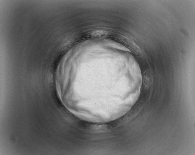 X0000116880375201001051509