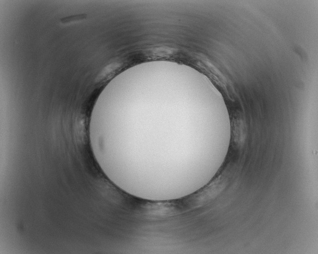 X0000116880378201001051509