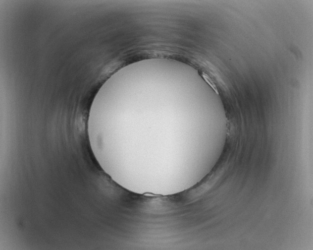 X0000116880382201001051509