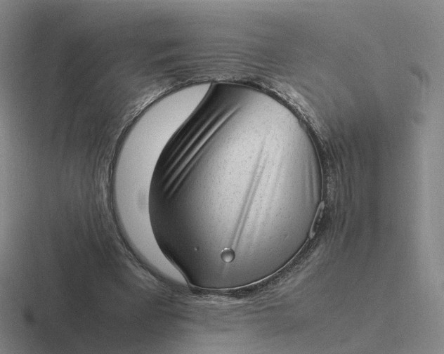 X0000116880393201001051508
