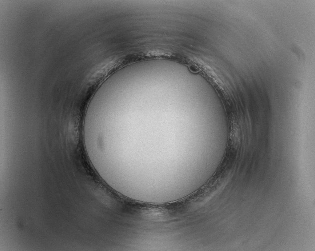 X0000116880402201001051508